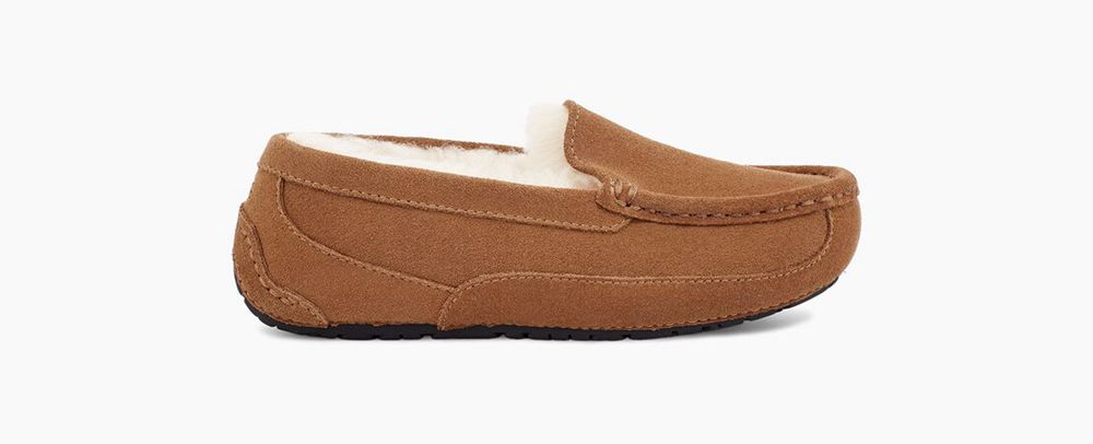 Ugg Ascot - Kids Slippers - Brown - NZ (2304VEIGJ)